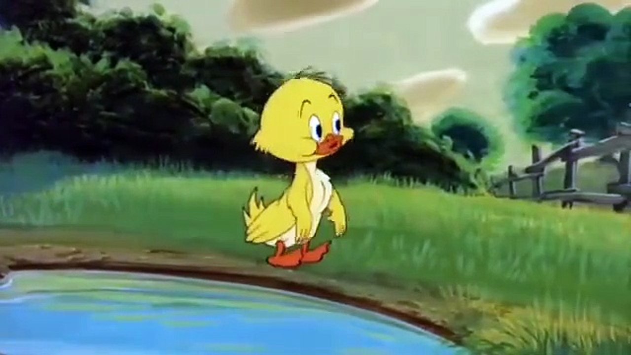 Tom and Jerry Cartoon