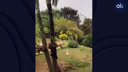 Se estrella un avión en Brasil con capacidad para 68 pasajeros