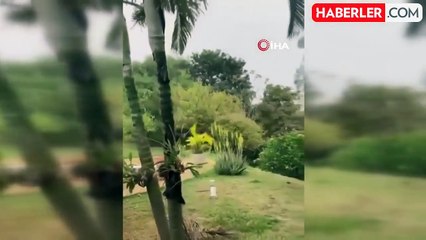 Brezilya'da 68 kişi kapasiteli yolcu uçağı düştü