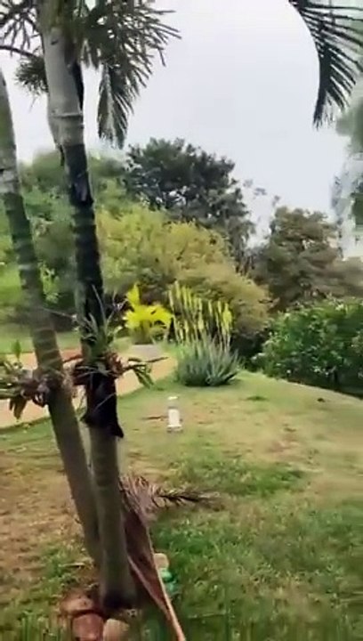 Un avion de ligne avec 62 personnes à bord s'écrasee au Brésil - La chute glaçante et spectaculaire de l'appareil, à la verticale, filmée depuis le sol