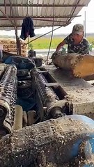 Tree straightness polishing process- Good tools and machinery make work easy