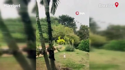 Brezilya'da 68 kişi kapasiteli yolcu uçağı düştü