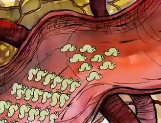 Mutasyonlar ve Doğal seçilim Bakteri Direnci