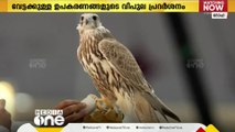 ഖത്തറിൽ സുഹൈല്‍ ഫാല്‍ക്കണ്‍ മേളയ്ക്ക് സെപ്തംബര്‍ 10ന് തുടക്കം; പങ്കെടുക്കുന്നത് 21 രാജ്യങ്ങൾ