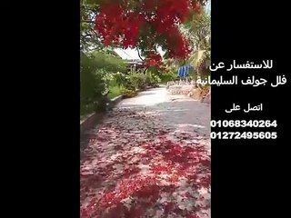 جولف السليمانية طريق مصر اسكندرية الصحراوي