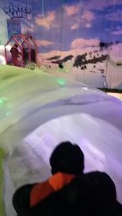 Winterland slide