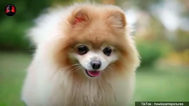 5 Scary Videos Of Terrifying Ghost Encounters Caught On Tape Scary Comp V.1