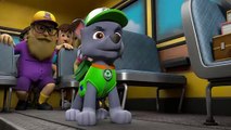 Pups Save a Tour Bus! - PAW Patrol Episode - Cartoons for Kids