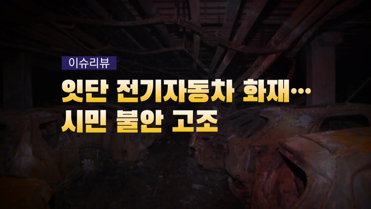 [영상] 잇단 전기자동차 화재...시민 불안 고조 / YTN
