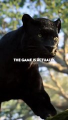 Sigma_rule__I_WhatsApp_status_I_Motivational_quotes_#shorts_#attitude_#sigmarule(480p)(3)