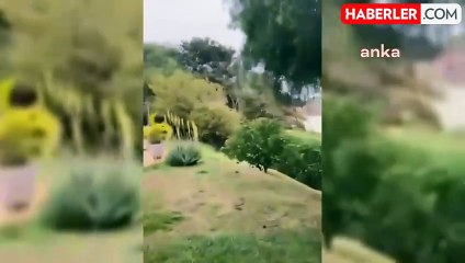 Brezilya'da yolcu uçağı düştü