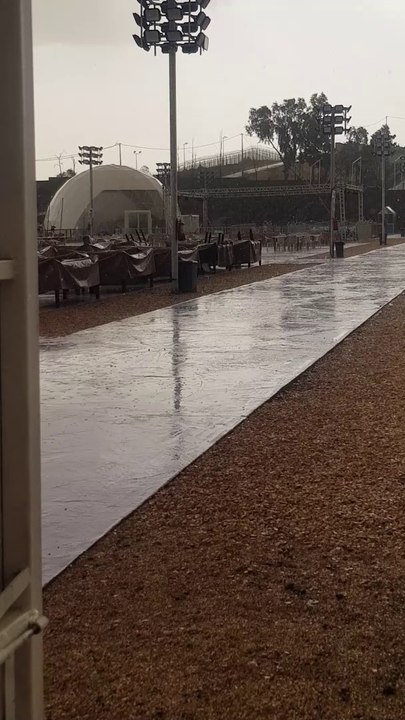 Rain