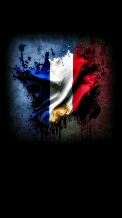patriote français,