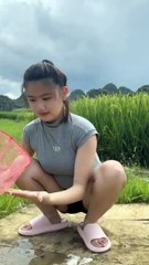 Wow what a beautiful sight and a great train.