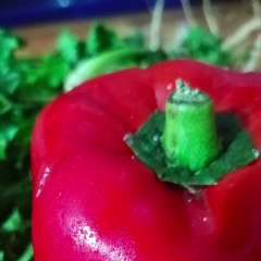 -ANDRÉS DE JESÚS VÉLEZ FRANCO-   Parque Nacional Natural Sumapaz   (PARTE 1) (@AndresdeJesus90)