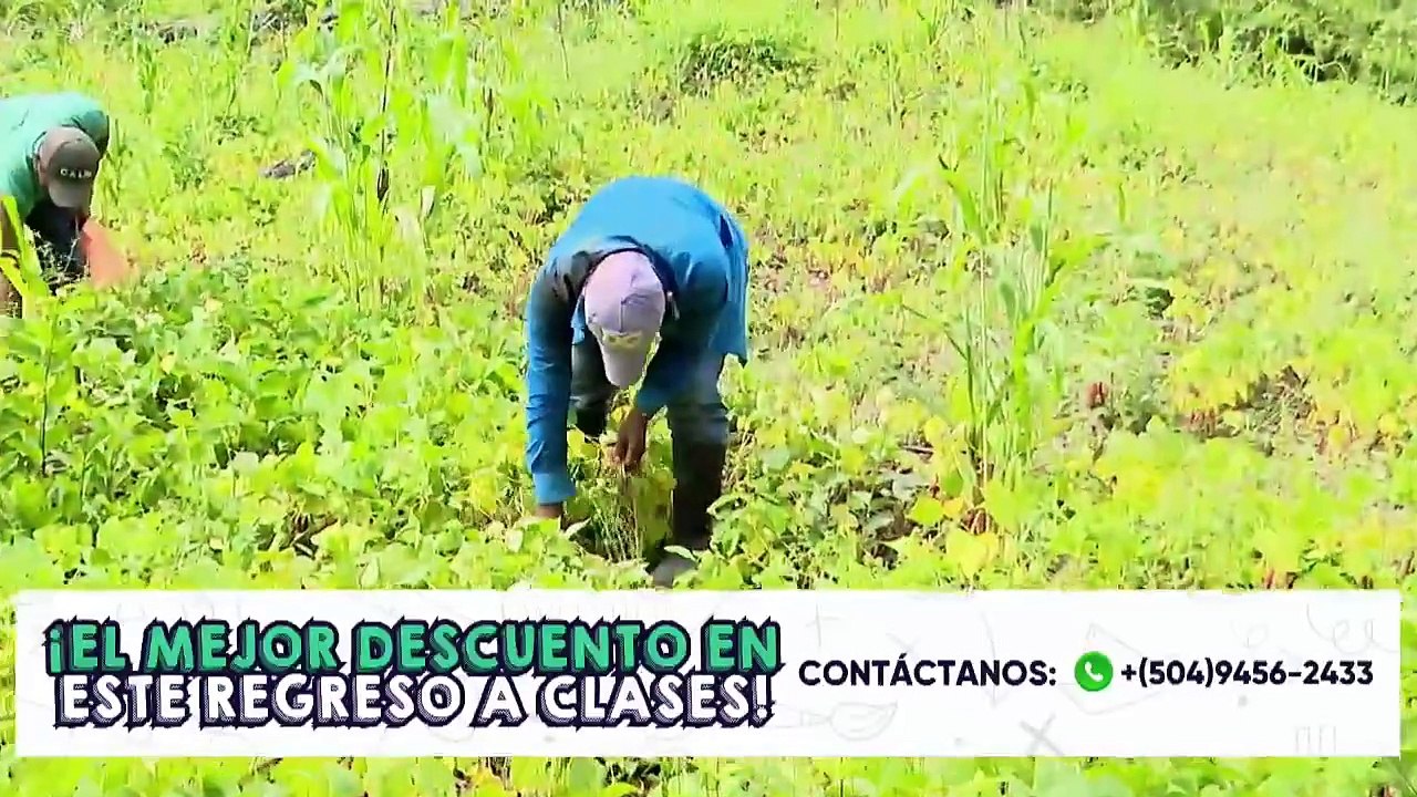 En Vivo (5078)