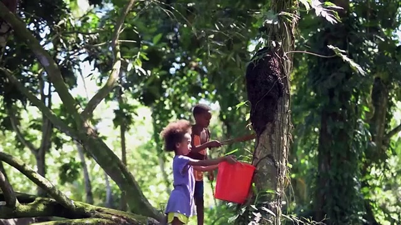 Ninos Del Verano Película de Familia Pelicula Completa En Español Latino