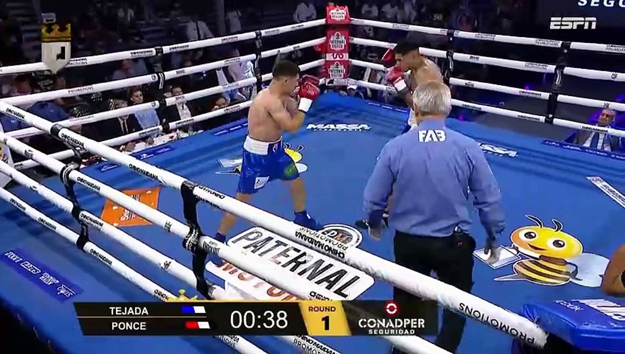Jeremias Nicolas Ponce vs Andres Ramon Tejada (11-11-2023) Full Fight