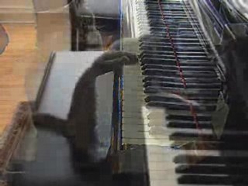 Le chat pianiste