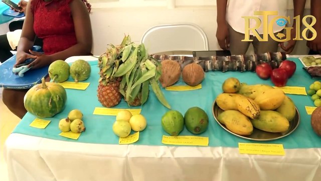 Depatman syans natirèl ak chimi nan lekòl nòmal siperyè òganize 2èm edisyon jounen syantifik.