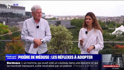 Piqûre de méduse: les réflexes à adopter