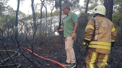 Heybeliada'da orman yangını