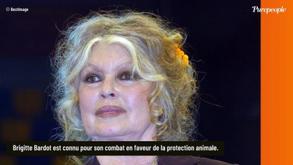 Brigitte Bardot a "fait le nécessaire" pour préparer au mieux sa fin de vie