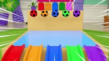 Bingo Song - School bus, Fire truck, Name the colors of the trucks-Baby Nursery Rhymes & Kids Songs