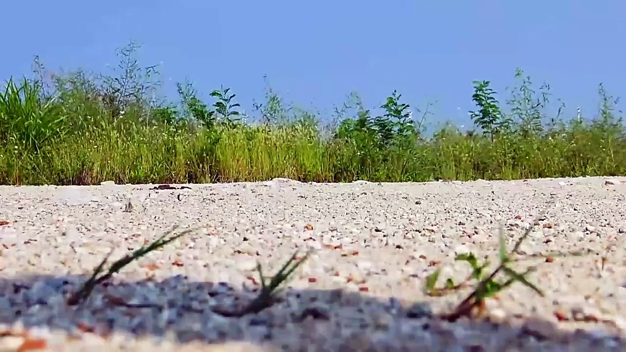 WLtoys 144001 RC Car A959 A959-A A959-B 70KM/H 4WD Electric