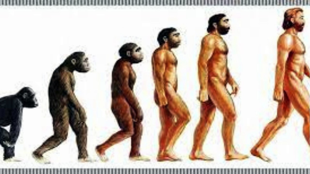 हम बंदर से इंसान कैसे बने? | Evolution of Humans from Apes Explained