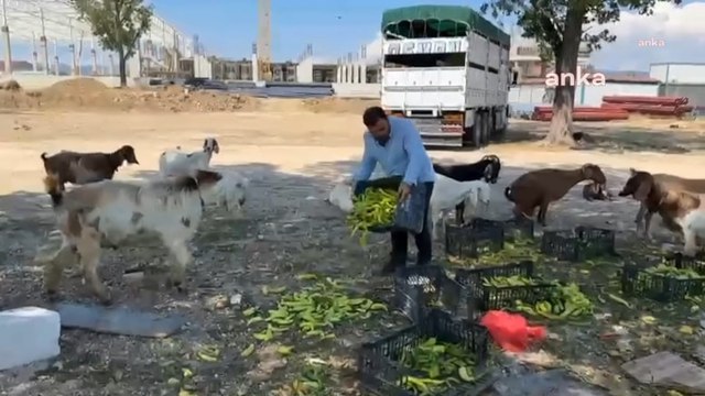 Ne çiftçi kazanıyor ne vatandaş doyuyor