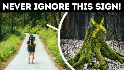 100+ Survival Tips for When the Going Gets Tough