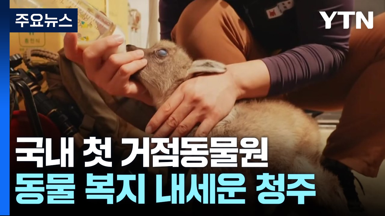 "전시물이 아니에요"...동물복지 내세운 청주 동물원 / YTN