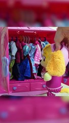 2024 Paw Patrol Pup Wears it Best