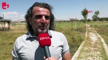 'Flamingolar bu yıl geç geldiler ama çok geldiler'