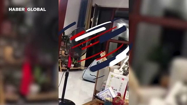 Kedinin vantilatörün çalışması karşısında verdiği tepki sosyal medyayı salladı: Hayatında ilk defa görmüş gibi...