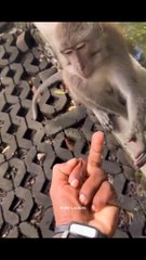 The end  funny funnyshorts funnyfails failsvideo