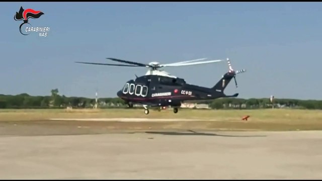 Il Nas nei ristoranti a Ponza: cibi e bevande sequestrati, multe e chiusure. I controlli sull'isola ad agosto