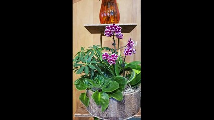 Flowers and Cards for Buck Bassett