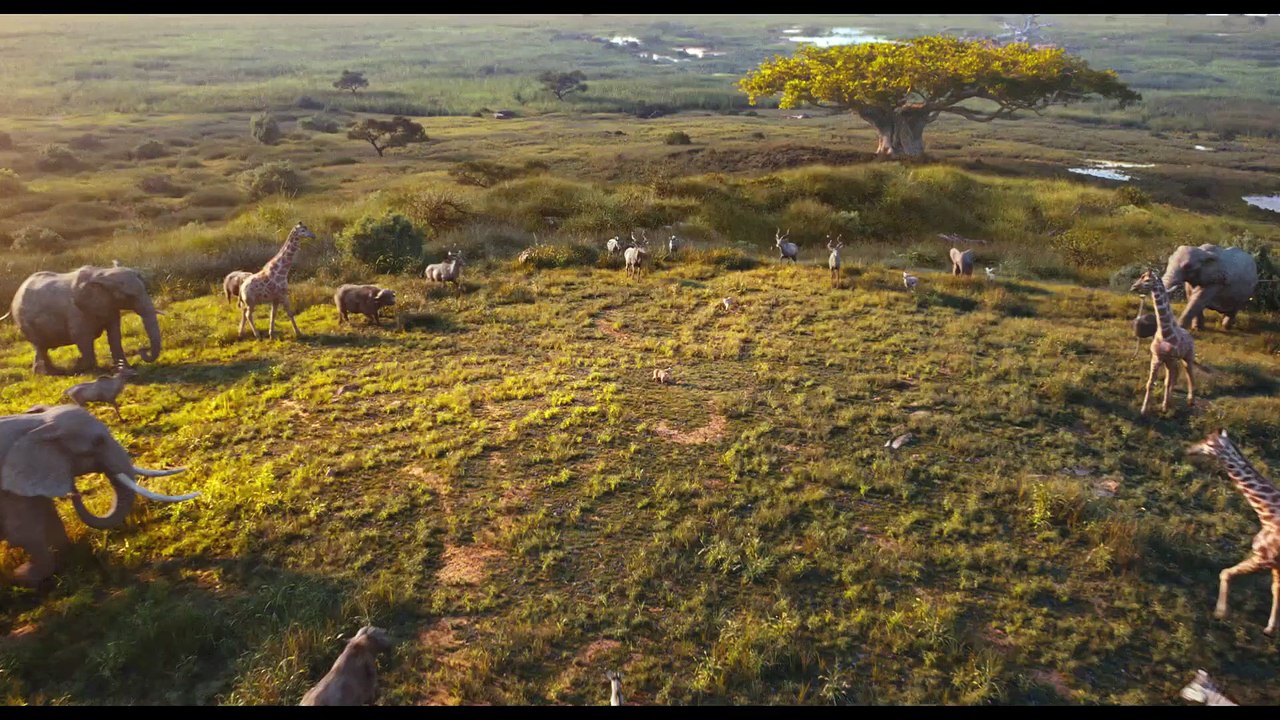 Mufasa: Der König der Löwen Trailer DF