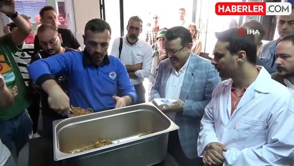 Trabzon'da sahipsiz köpek sorunu çözülecek