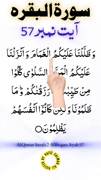 Al-Quran - Surah 2 - Al-Baqara - Ayah 57 | hafiz salman ali