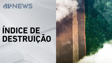 Alerta de desmatamento na Amazônia cai 45%, segundo dados do Inpe