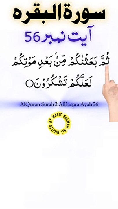 Al-Quran - Surah 2 - Al-Baqara - Ayah 56 | hafiz salman ali