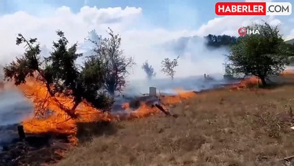 Anız yangını 20 dönümü kül etti: 4 tarla, 1 mezarlık yandı