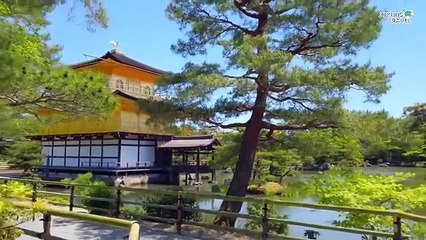 Amazing Places to visit in Japan