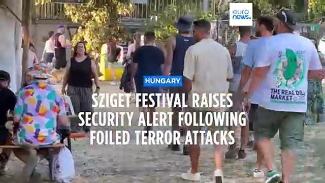 Sziget Festival organisers raise security alert following foiled Vienna terrorist attacks