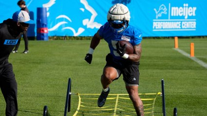 Will David Montgomery Score 10+ TDs This NFL Season?