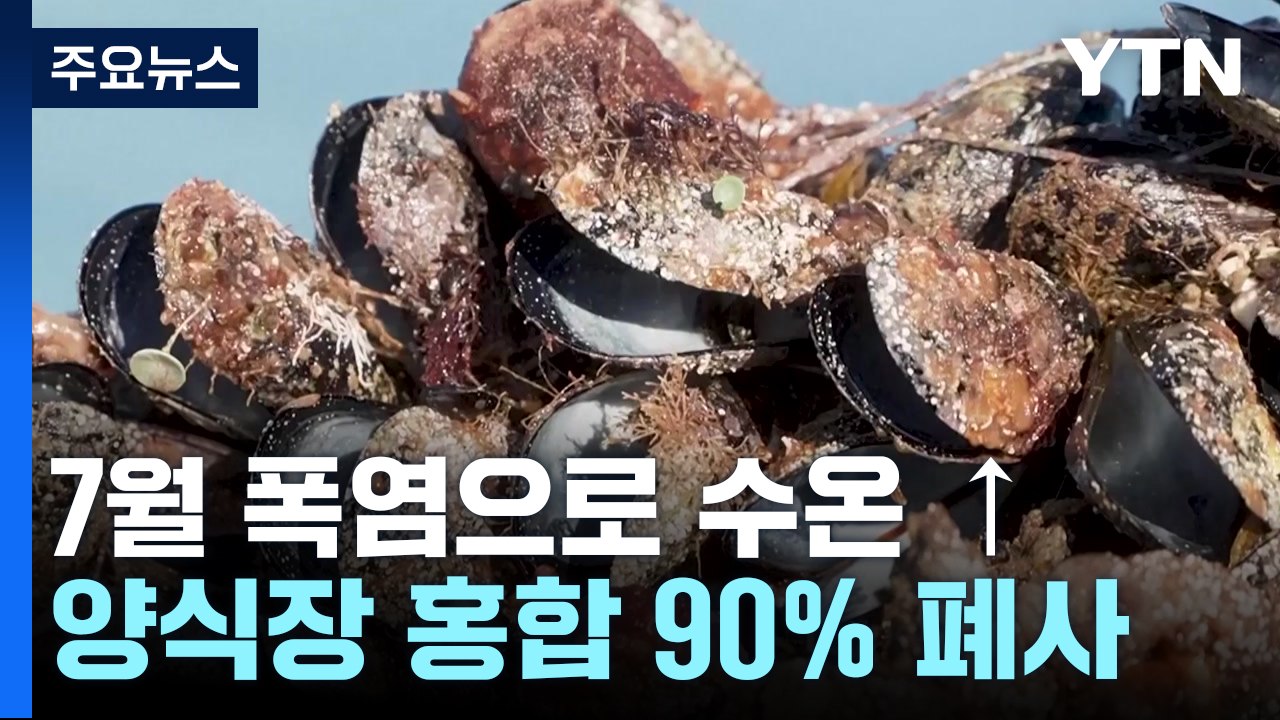 기후 변화로 농어업 피해 극심...마사이족 생계수단도 바꿔 / YTN