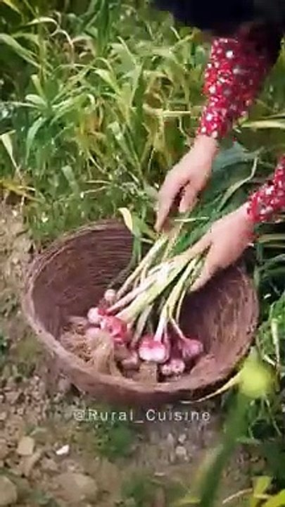 Pickled Garlic